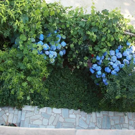 Xenioti 3* Tsagarada