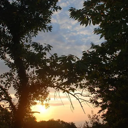 Xenioti 3* Tsagarada