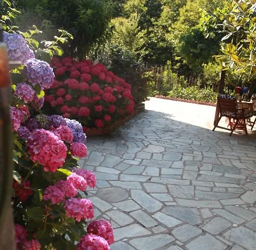 Guest house Xenioti 3*