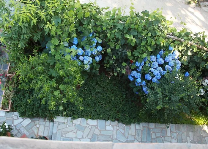 Xenioti 3* Tsagkarada